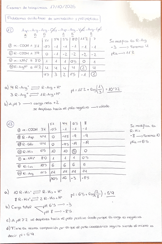 Miniatura del documento EJERCICIOS-TIPO-EXAMEN-ACIDO-BASE-Y-PUNTO-ISOELECTRICO.pdf