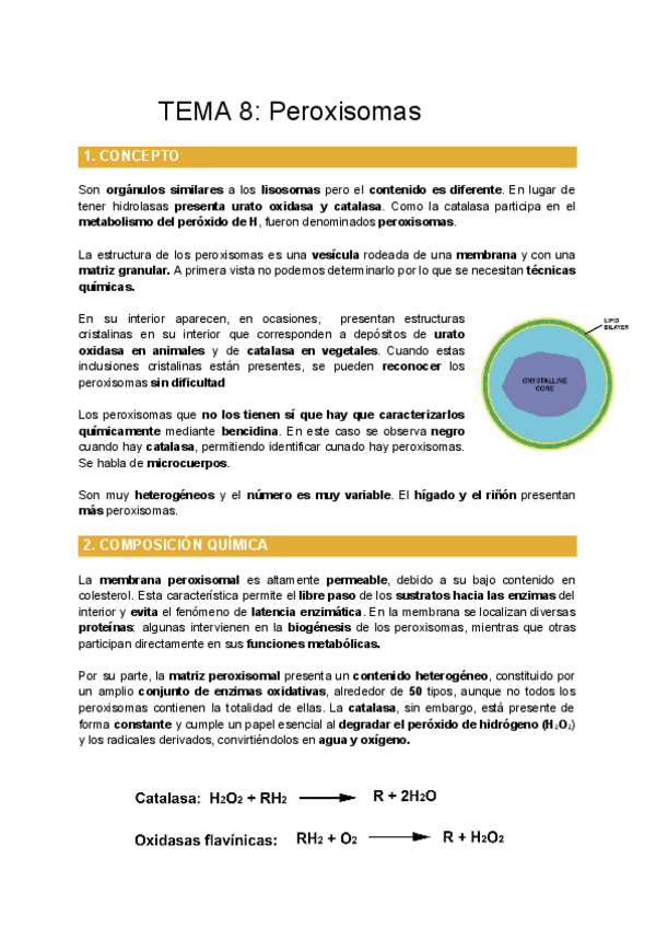 Miniatura del documento TEMA-8-Peroxisomas.pdf