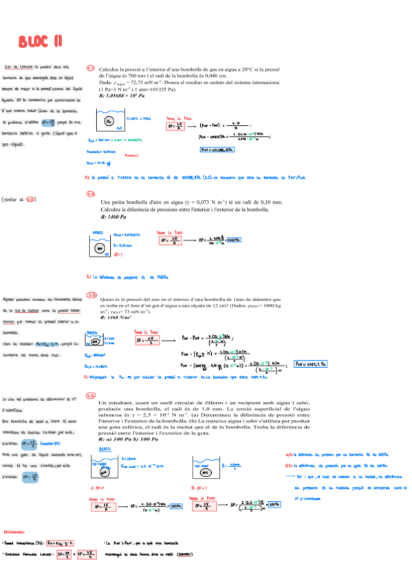Miniatura del documento BLOC-IIFQIIexercicis-explicats-i-consells2.11-2.25curs25-26.pdf.pdf