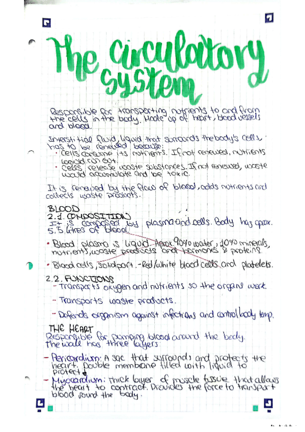 Miniatura del documento Apuntes-Circulatory-system.pdf