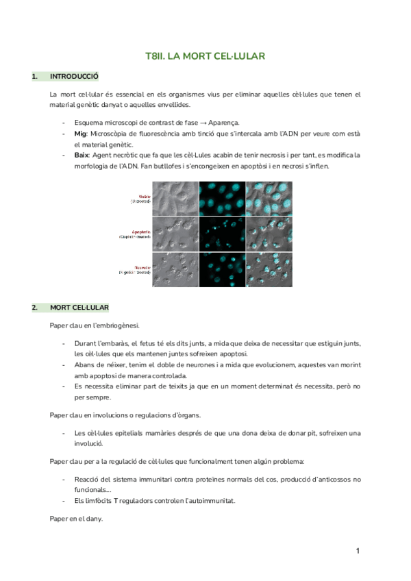 Miniatura del documento T8II.-Mort-cellular.pdf