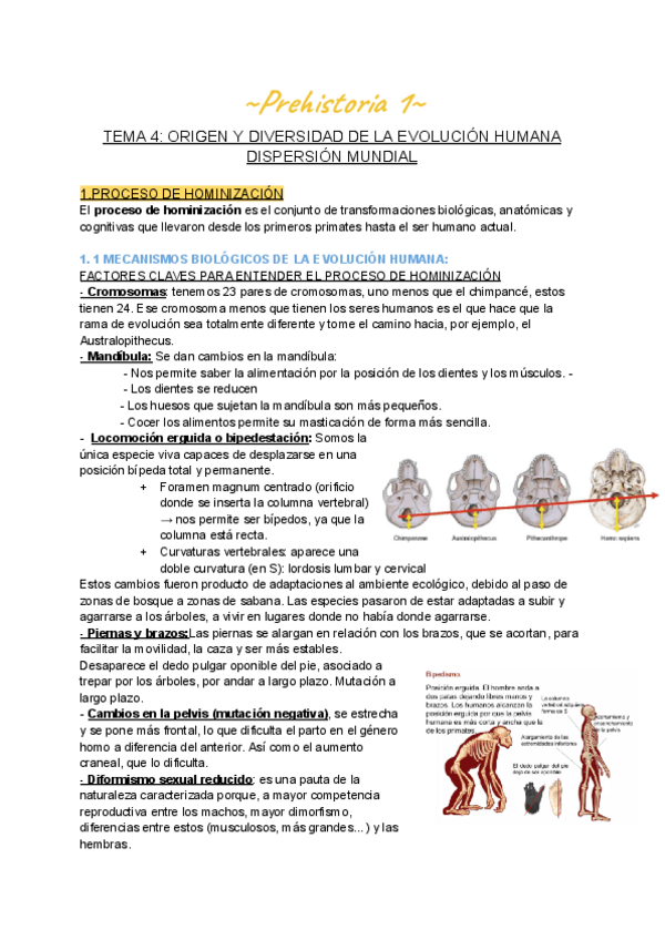 Miniatura del documento PREHISTORIA-I-TEMA-4.pdf