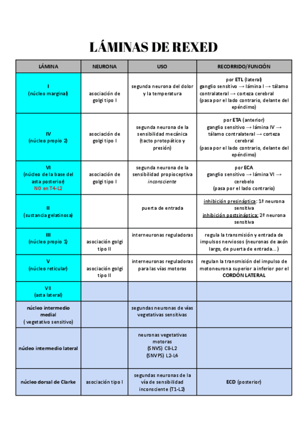 Miniatura del documento LAMINAS-DE-REXED.pdf