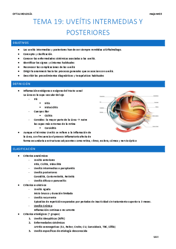 Miniatura del documento Tema-19-Uveitis-intermedias-y-posteriores.pdf