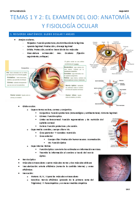 Miniatura del documento Temas-1-y-2-Anatomia-y-fisiologia-ocular.pdf