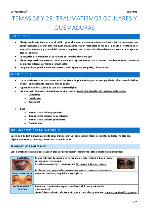 Miniatura del documento Temas-28-Y-29-Traumatismos-oculares-y-quemaduras.pdf
