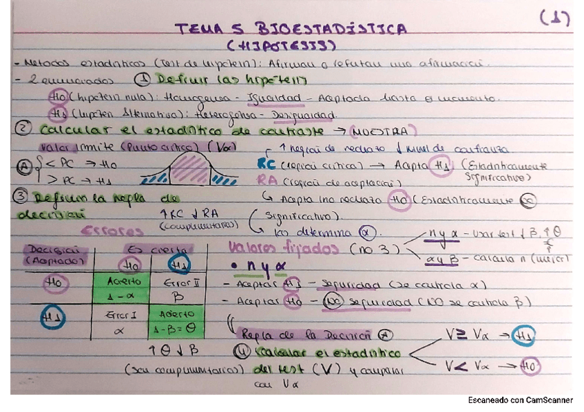 Miniatura del documento Esquema-Tema-5-BioestadisticaHipotesis.pdf