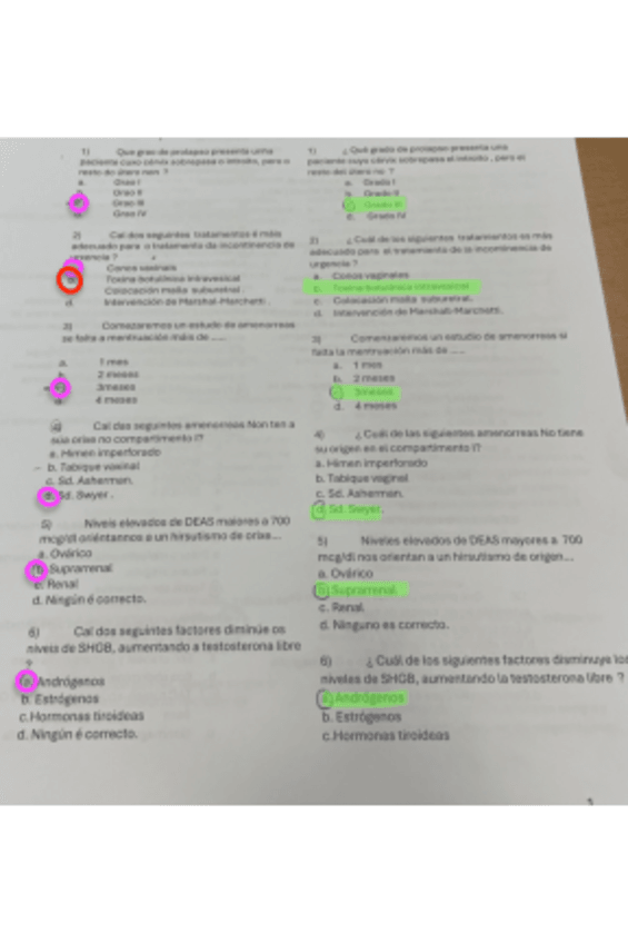 Miniatura del documento 2024-gine-copia.pdf