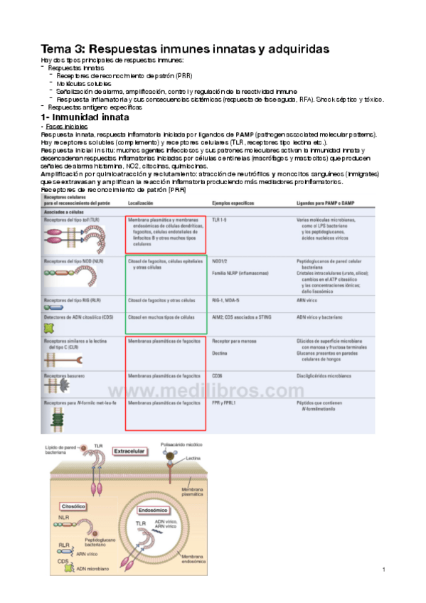 Miniatura del documento tema-3.pdf