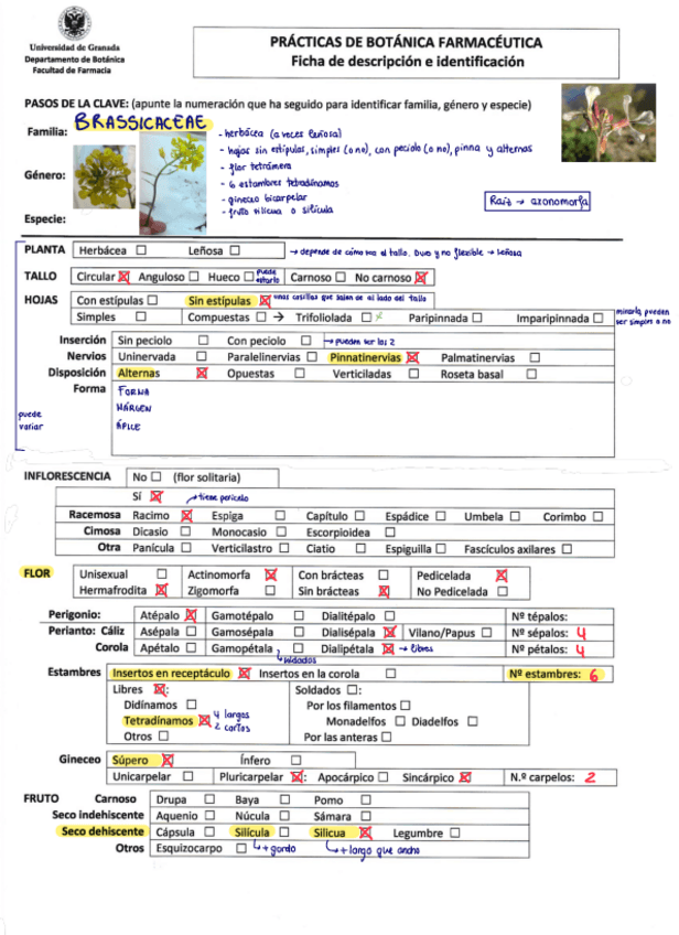 Miniatura del documento Practicas-botanica.pdf