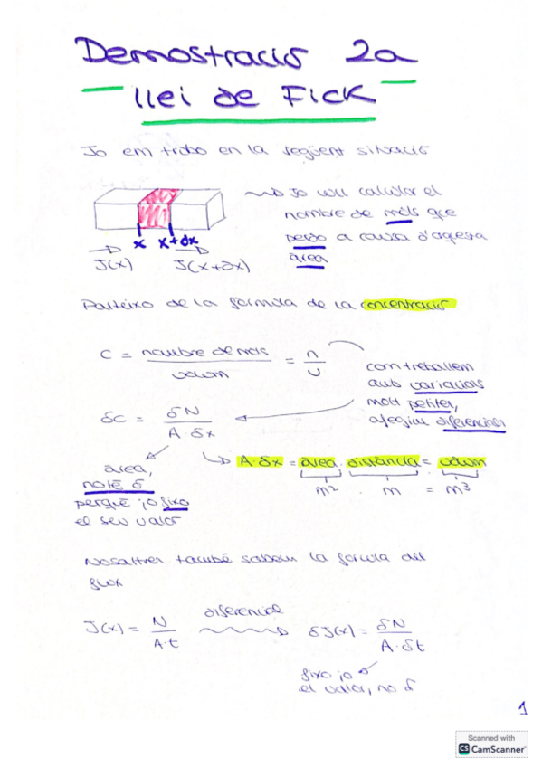 Miniatura del documento DEMOSTRACIO-SEGONA-LLEI-DE-FICK.pdf