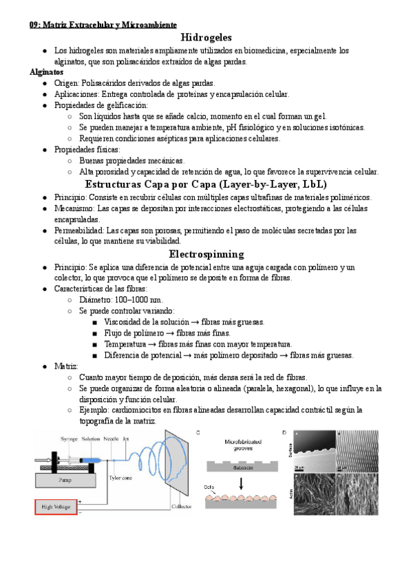 Miniatura del documento 09-Matriz-Extracelular-y-Microambiente.pdf