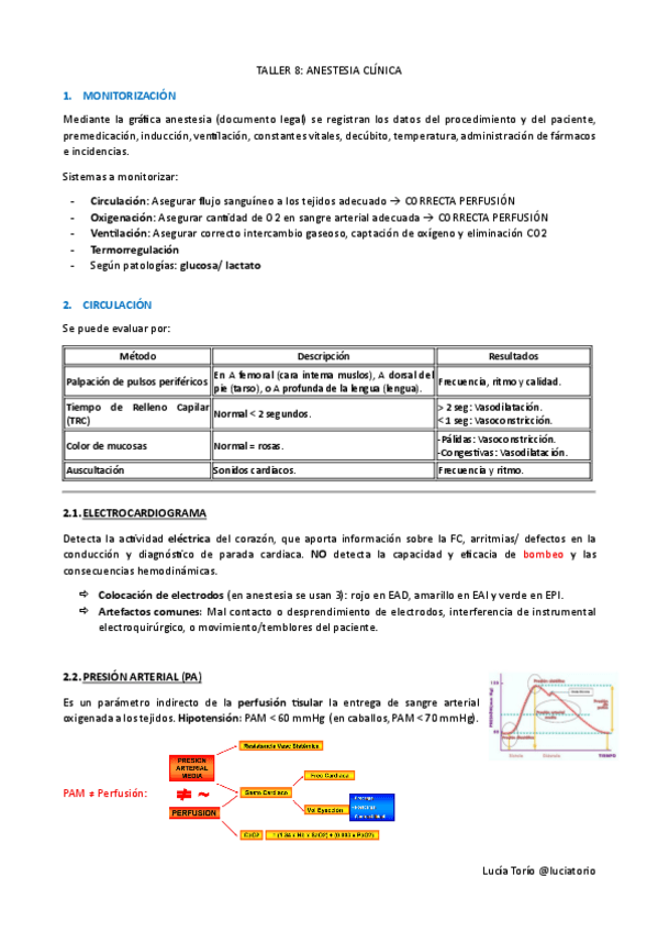Miniatura del documento IECPA-Taller-8-Anestesia.pdf