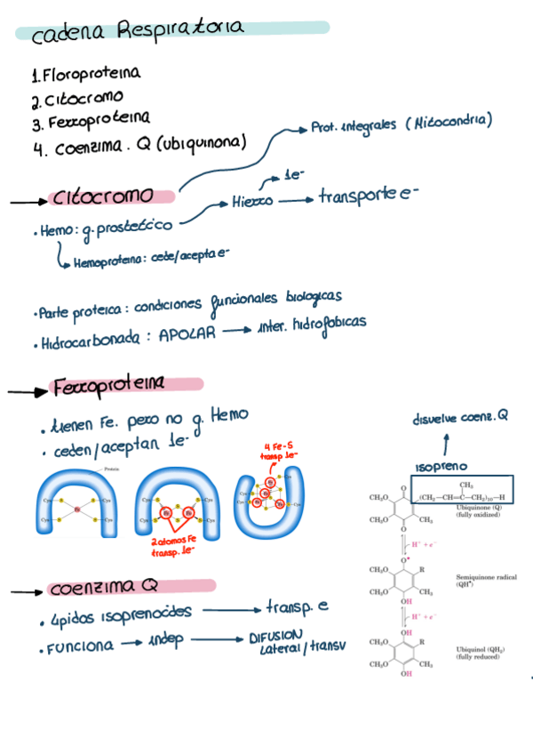 Miniatura del documento TEMA-3.1.pdf