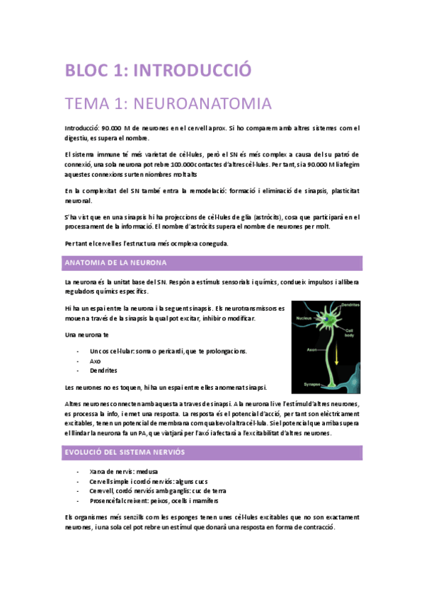 Miniatura del documento Neurobiologia-bloc-1.pdf