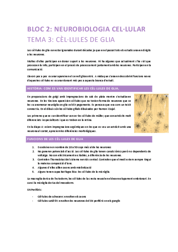 Miniatura del documento Neurobiologia-bloc-2.pdf