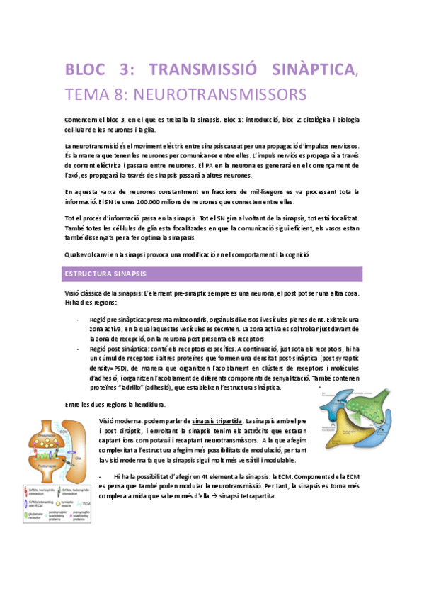 Miniatura del documento Neurobiologia-tema-3.1-Neurotransmissors.pdf