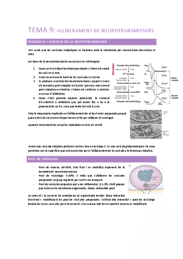 Miniatura del documento Neurobiologia-tema-3.2-alliberament-de-neurotransmissors.pdf