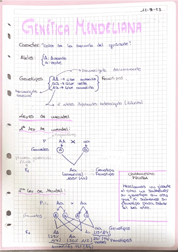 Miniatura del documento Genetica-mendeliana.pdf