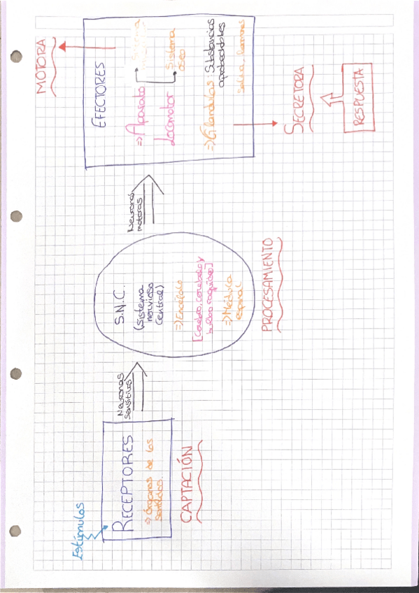 Miniatura del documento estimulos.pdf