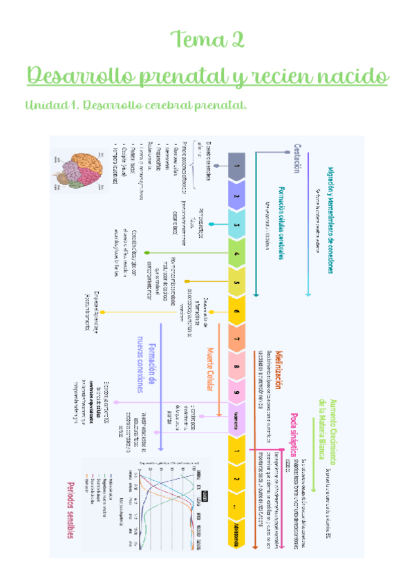 Miniatura del documento Tema-2.pdf