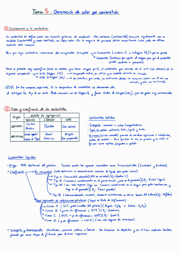 Miniatura del documento COMBUSTIONTema5.pdf