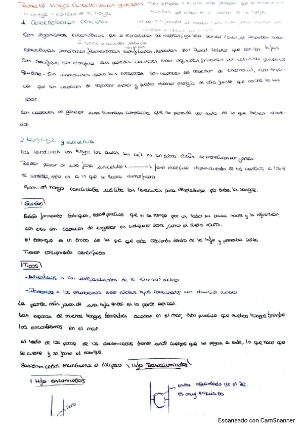 Miniatura del documento Tema-10-botanica.pdf