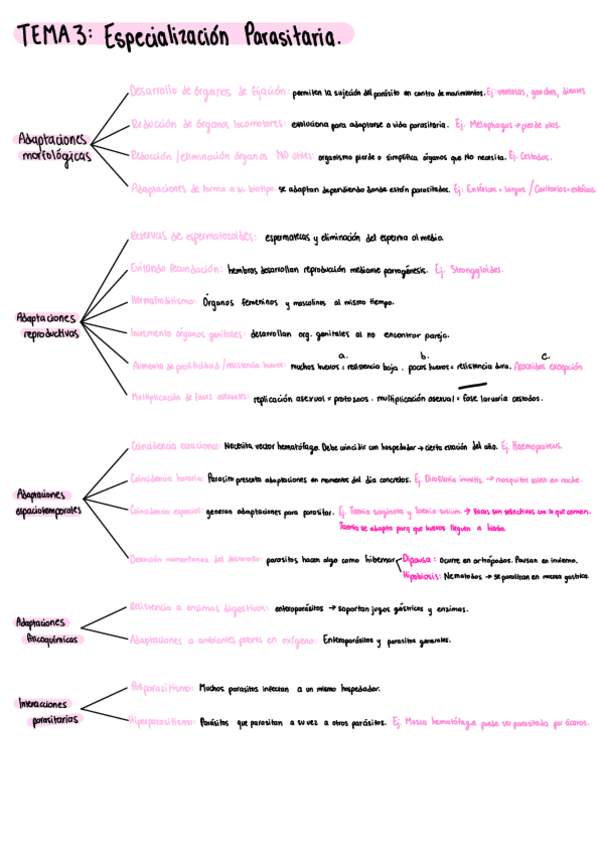 Miniatura del documento TEMA-3-y-4-Parasitologia-esquema.pdf