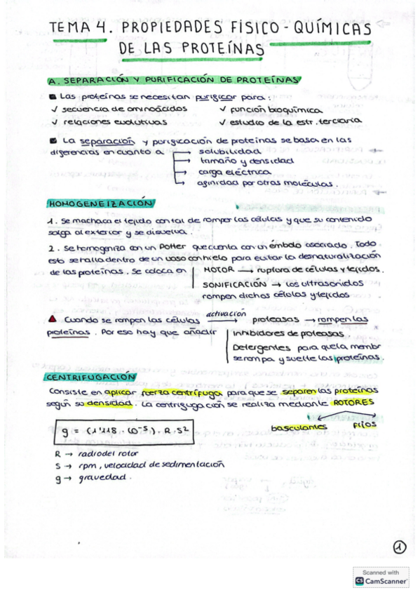 Miniatura del documento T4-T6-y-T8-de-BIOQUIMICA.pdf