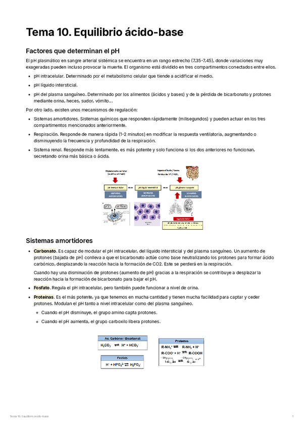 Miniatura del documento Tema-10.-Equilibrio-acido-base.pdf
