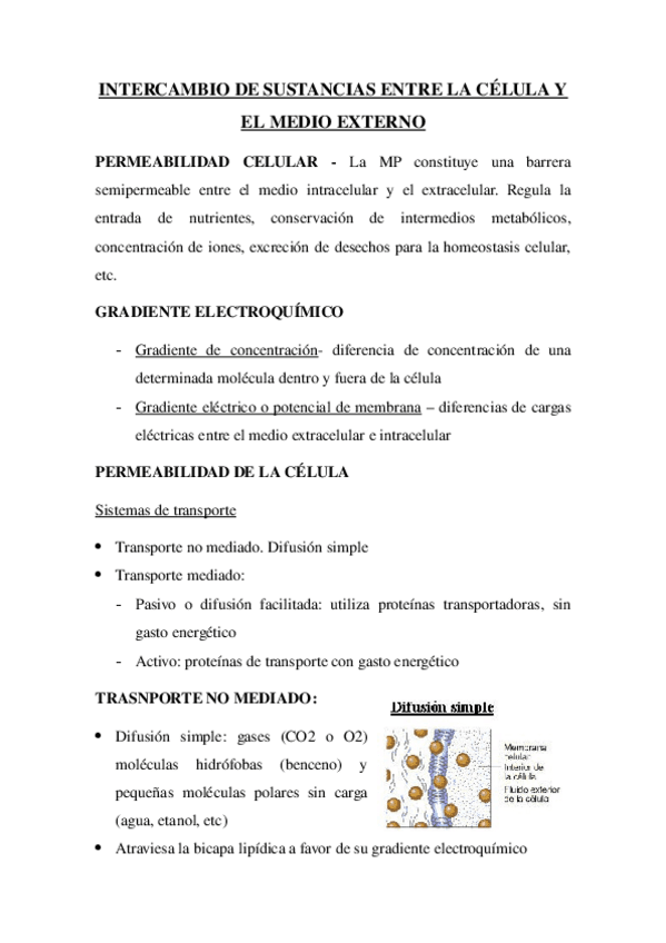 Miniatura del documento 2-INTERCAMBIO-DE-SUSTANCIAS.docx