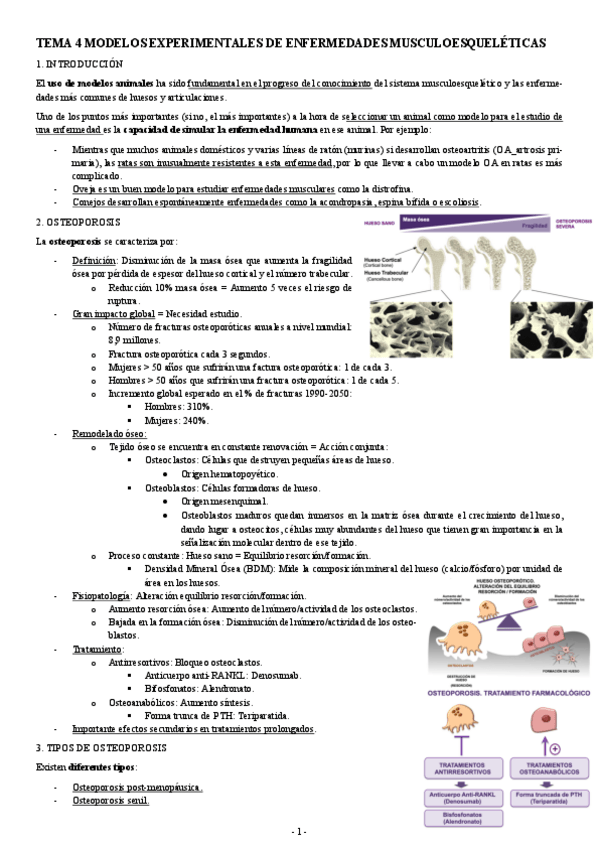 Miniatura del documento MODELOS-TEMA-4-MODELOS-EXPERIMENTALES-DE-ENFERMEDADES-MUSCULOESQUELETICAS.pdf