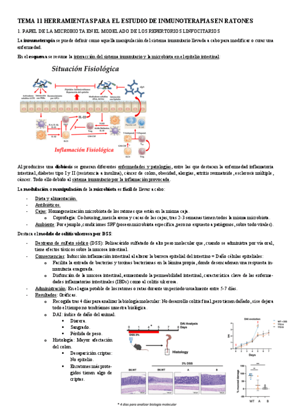 Miniatura del documento MODELOS-TEMA-11-HERRAMIENTAS-PARA-EL-ESTUDIO-DE-INMUNOTERAPIAS-EN-RATONES.pdf