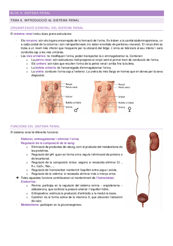 Miniatura del documento Apuntes-Bloc-II-FFPIII.pdf