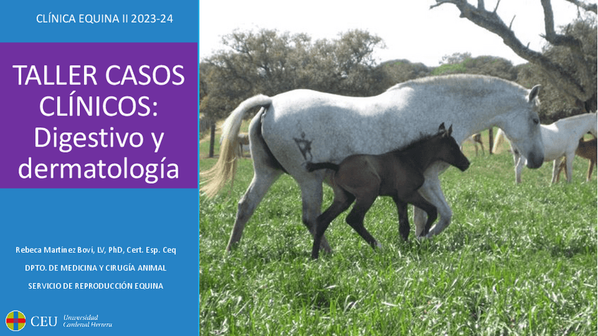 Miniatura del documento TALLER-CEII-CASOS-23-24.pdf