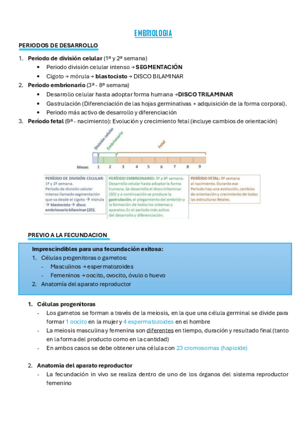 Miniatura del documento Embriologia.pdf