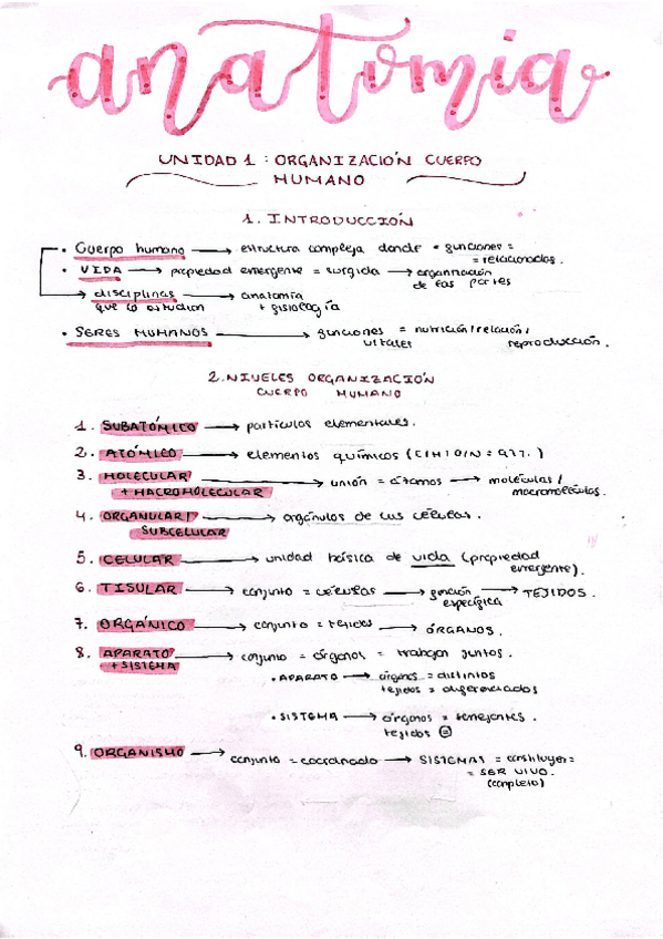 Miniatura del documento TEMA-1--ORGANIZACION-CUERPO-HUMANO.pdf