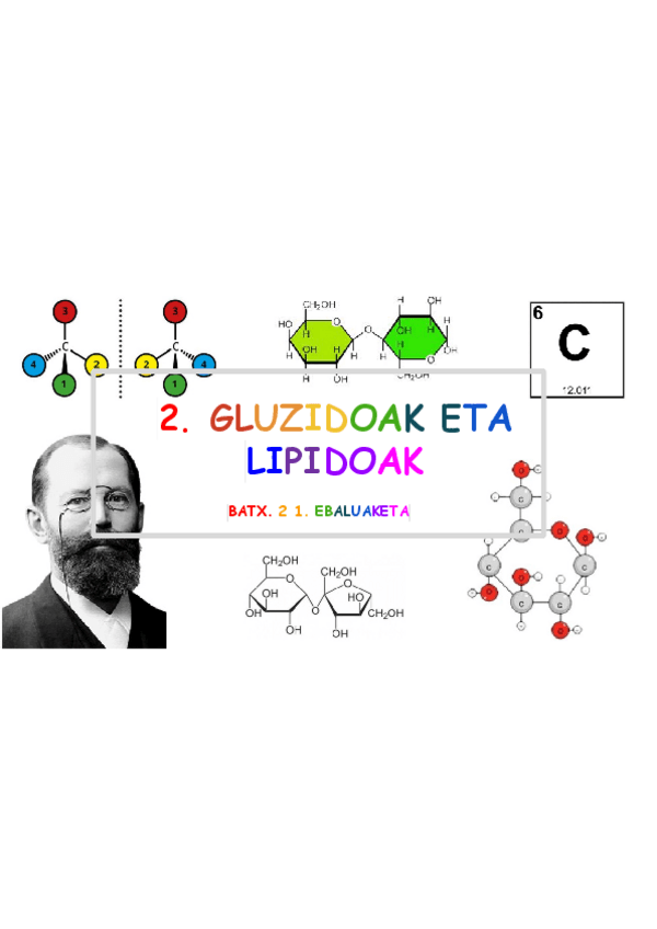 Miniatura del documento 2.GAIA-gluzidoak-eta-lipidoak.pdf