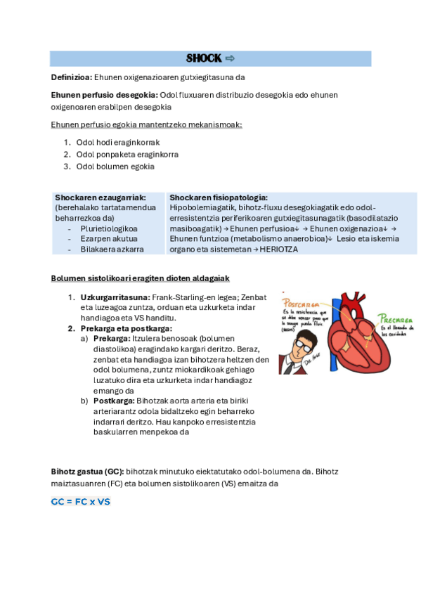 Miniatura del documento 7-SHOCK.pdf