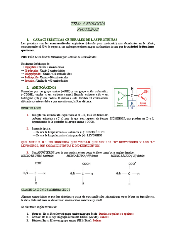 Miniatura del documento Tema-4-biologia-proteinas.pdf