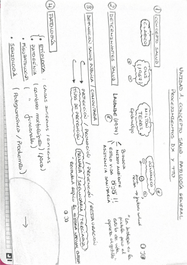 Miniatura del documento Extraccion-de-diagnostico-y-procedimientos-Patologia-general.pdf