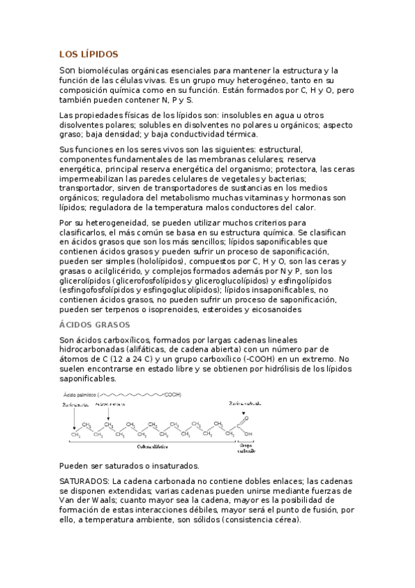 Miniatura del documento LOS-LIPIDOS.docx