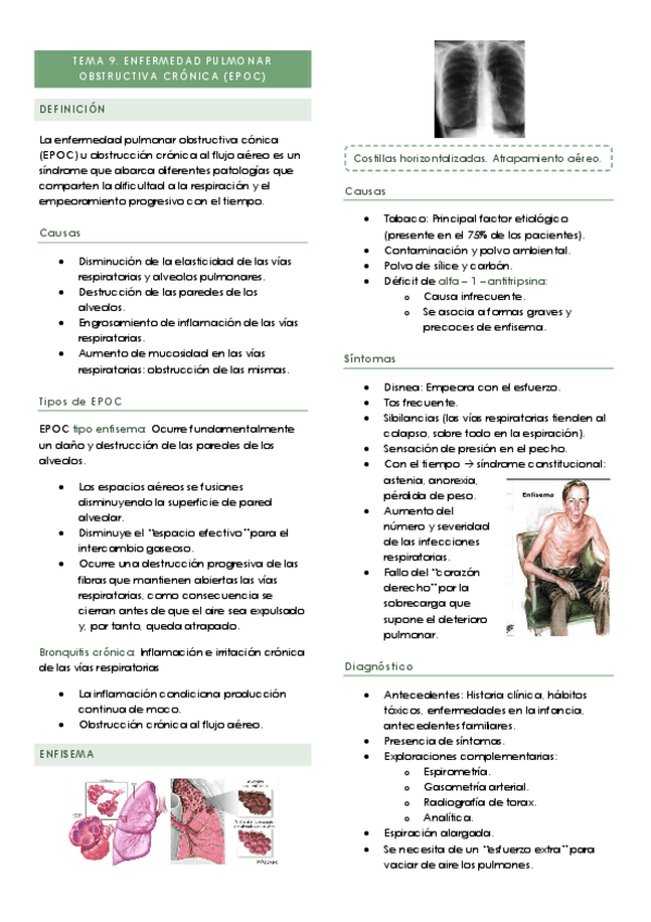 Miniatura del documento TEMA-9.pdf