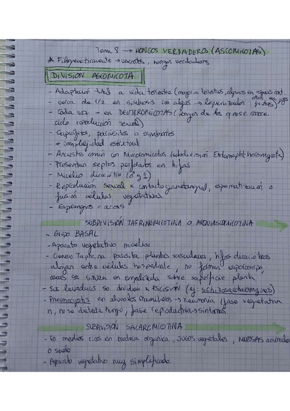 Miniatura del documento Tema-8.-Acomicotas.pdf