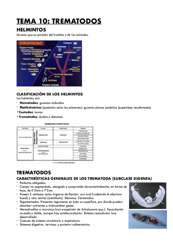 Miniatura del documento TEMA-10-TREMATODOS.pdf