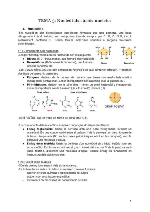 Miniatura del documento TEMA-5-Nucleotids-i-acids-nucleics.pdf