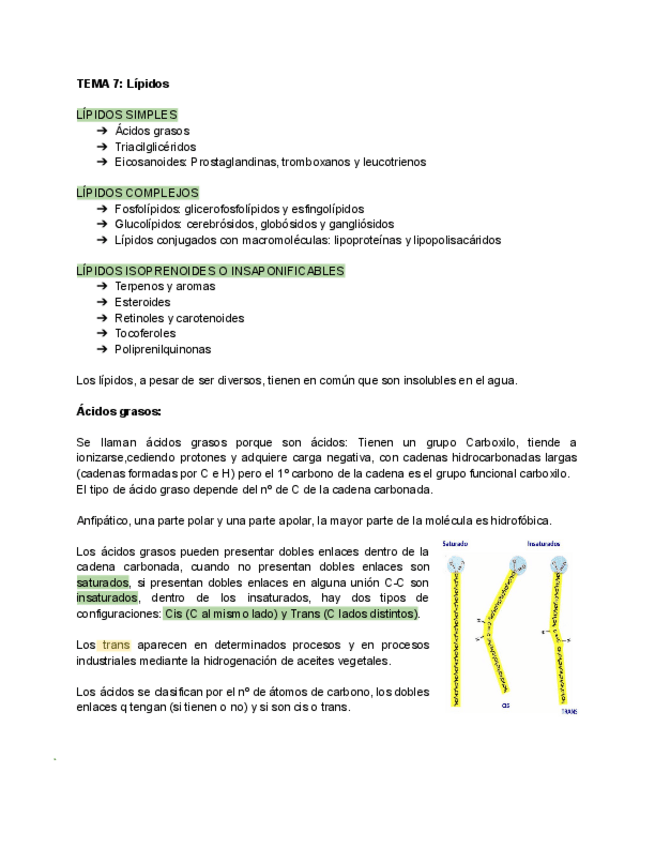 Miniatura del documento T7-Bioquimica-Lipidos.pdf