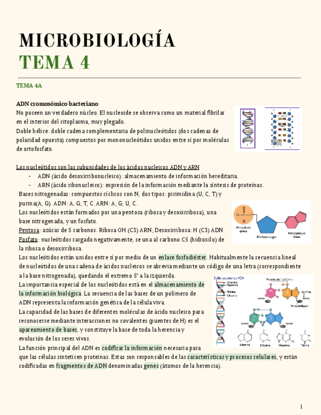 Miniatura del documento TEMA-4A.pdf