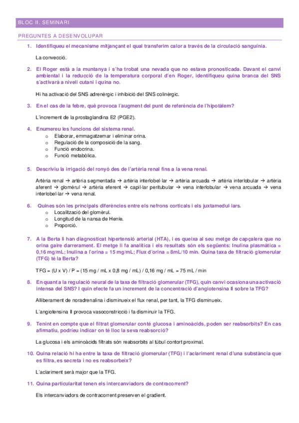 Miniatura del documento Seminari-Bloc-II-FFPIII.pdf