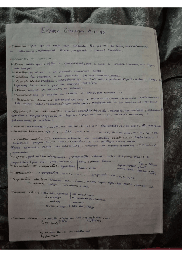 Miniatura del documento Gallego.pdf